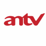 Untitled design (90)